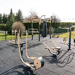 Betula &