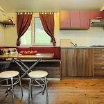 Betula &
