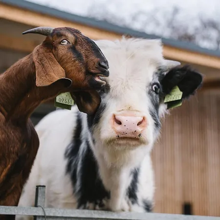Betula & Gasthof Liptovská Sielnica