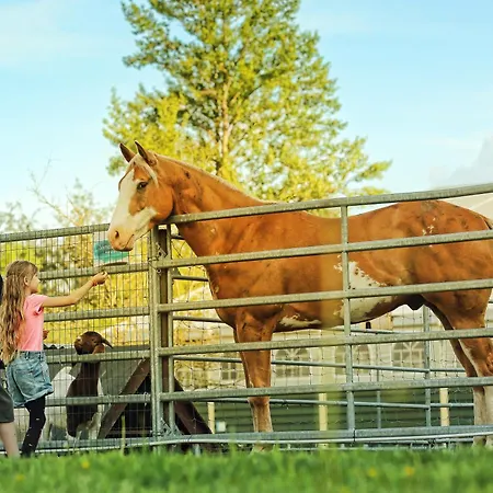 Betula & 3* Liptovská Sielnica
