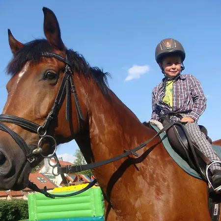 Betula & 3*